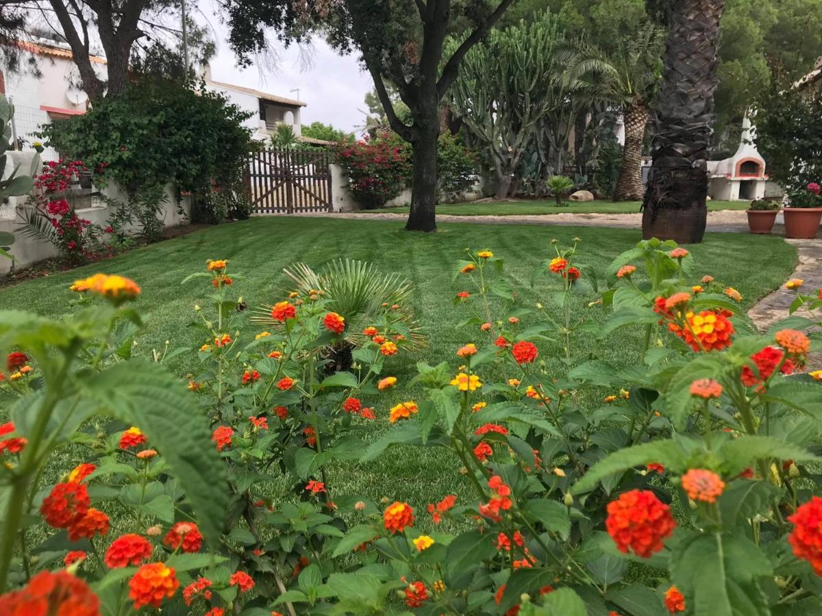 Villa Acquamarina Stella Di Mare Capitana Zewnętrze zdjęcie